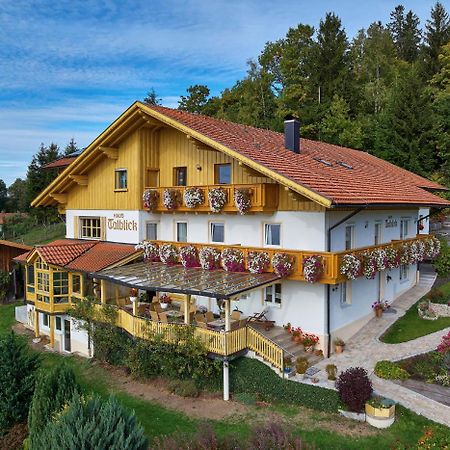 فندق Haus Talblick بودنمايس المظهر الخارجي الصورة
